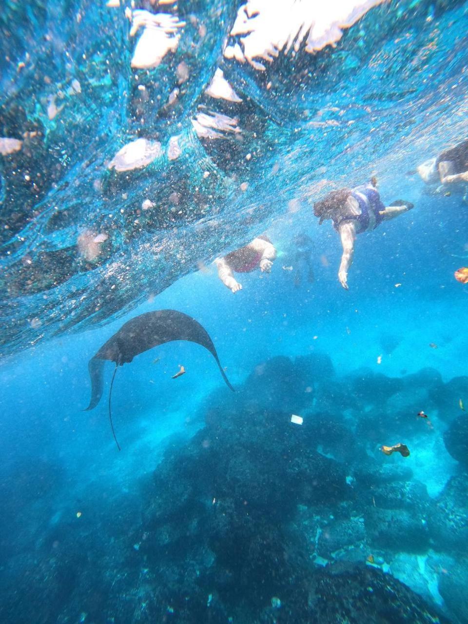 D'Waktu In House Lägenhet Lembongan Exteriör bild