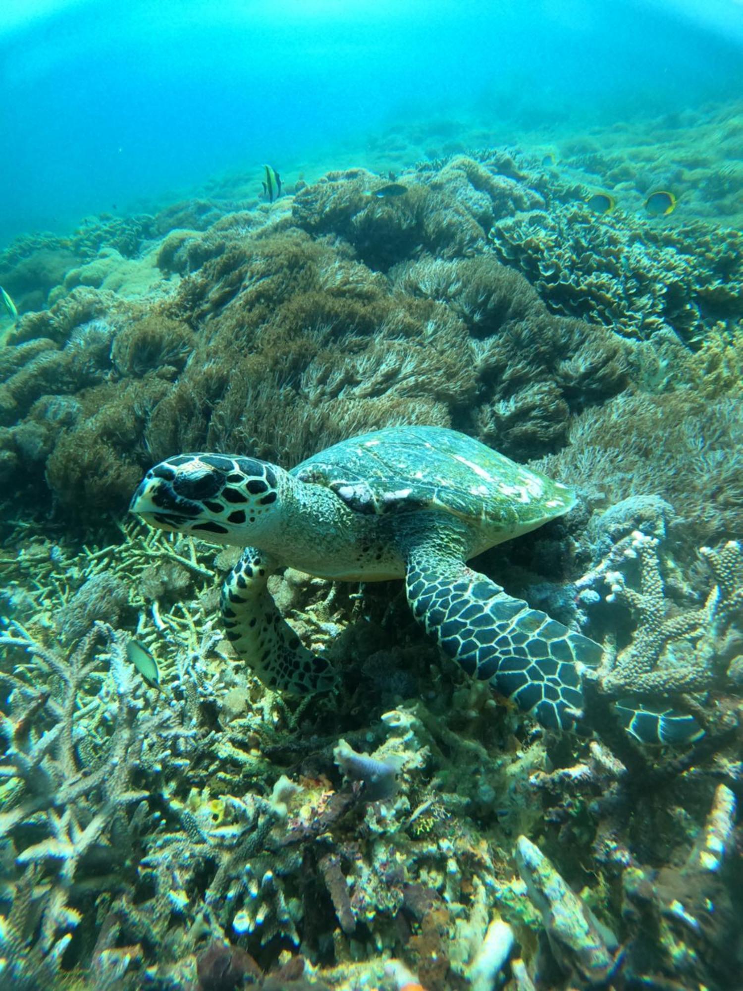 D'Waktu In House Lägenhet Lembongan Exteriör bild
